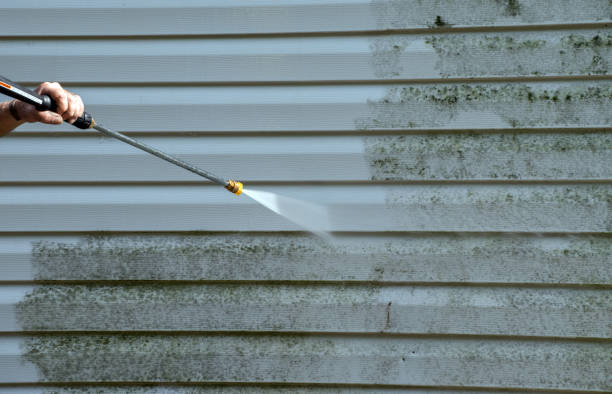 Best Pressure Washing Driveway  in Vardaman, MS