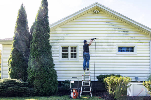 Best Local Pressure Washing Services  in Vardaman, MS