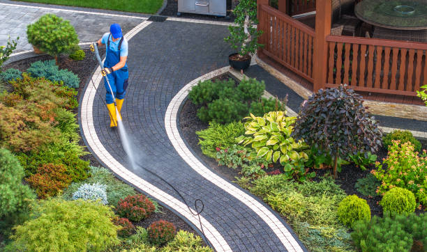 Best Best Pressure Washing Companies  in Vardaman, MS